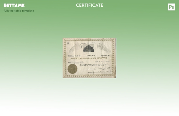 модерен стил Норвешка Норвешка норвешка болница шаблон извод од матична книга на